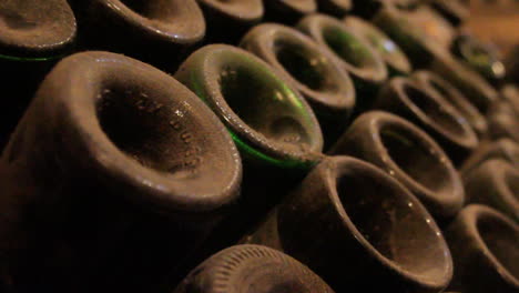 wine bottles in a cellar