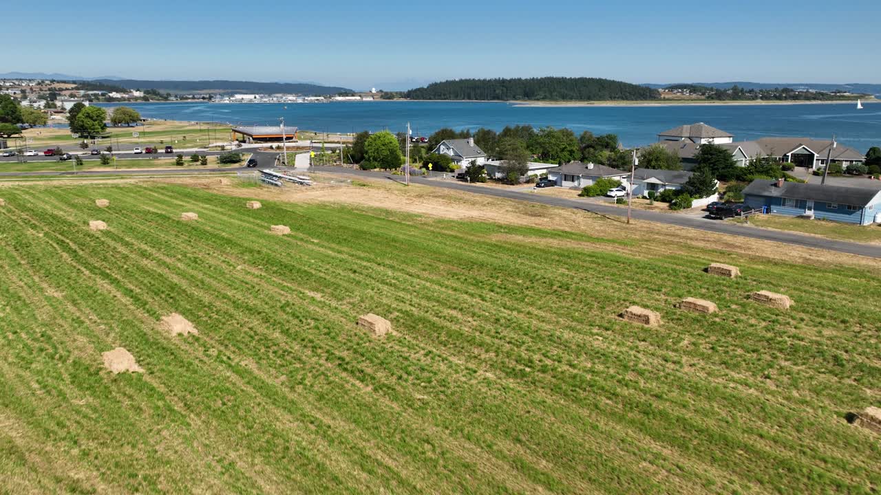 바다 해안 근처에서 클로버 수확의 드론 샷