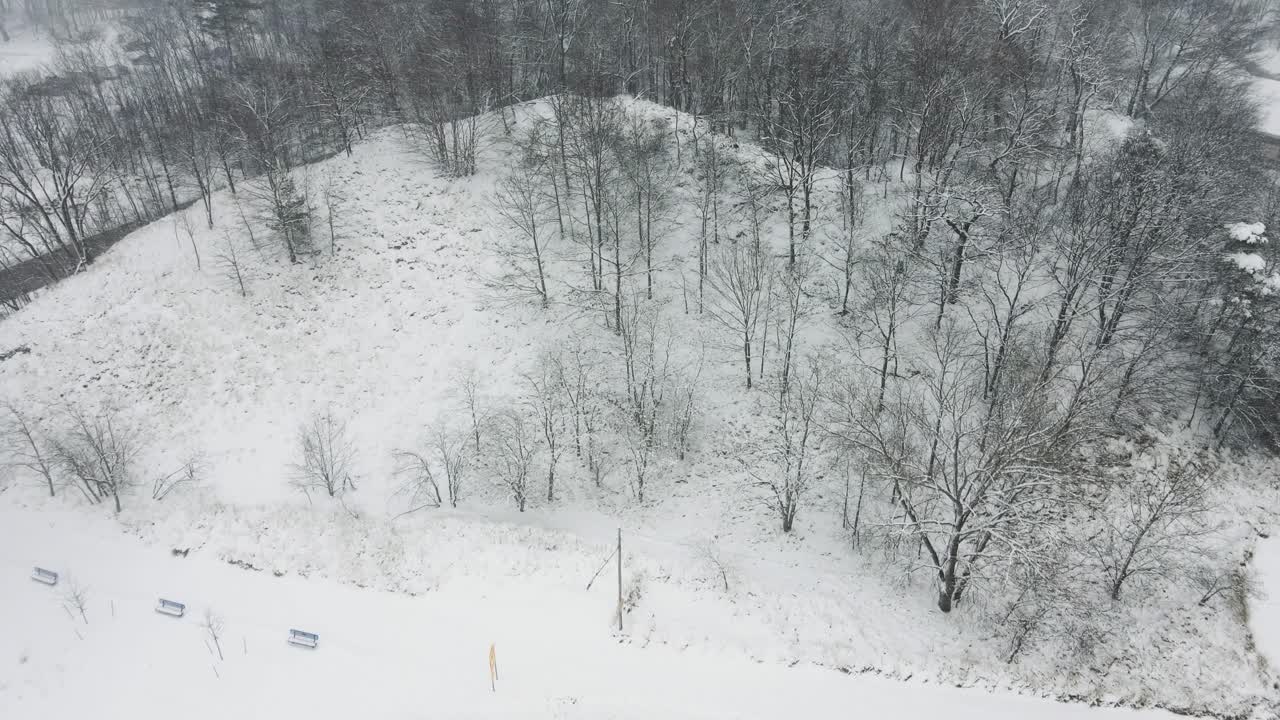 pere marquette 해변에서 이웃 숲을 향해 밀고