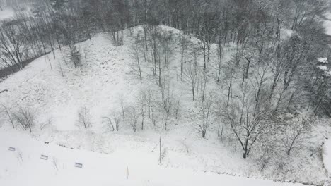 empujando hacia los bosques vecinos en la playa de pere marquette