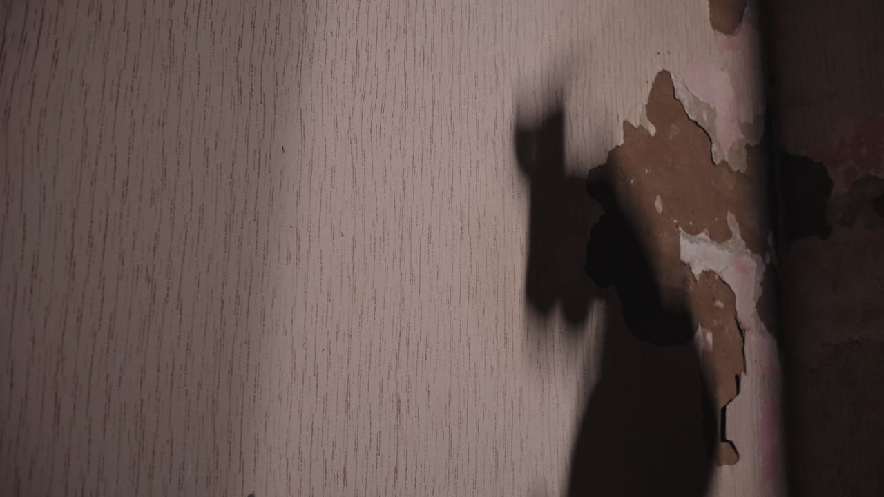 Shadow of a horse on a damaged wall