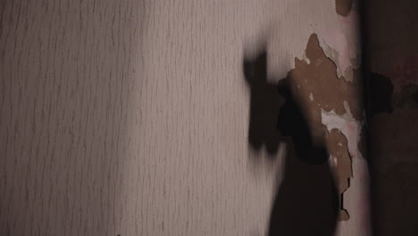 shadow of a horse on a damaged wall