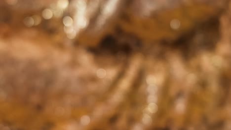 verschwommener bokeh-hintergrund