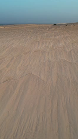 aerial of famous scenic desert sand dunes along ocean coast at fuerteventura