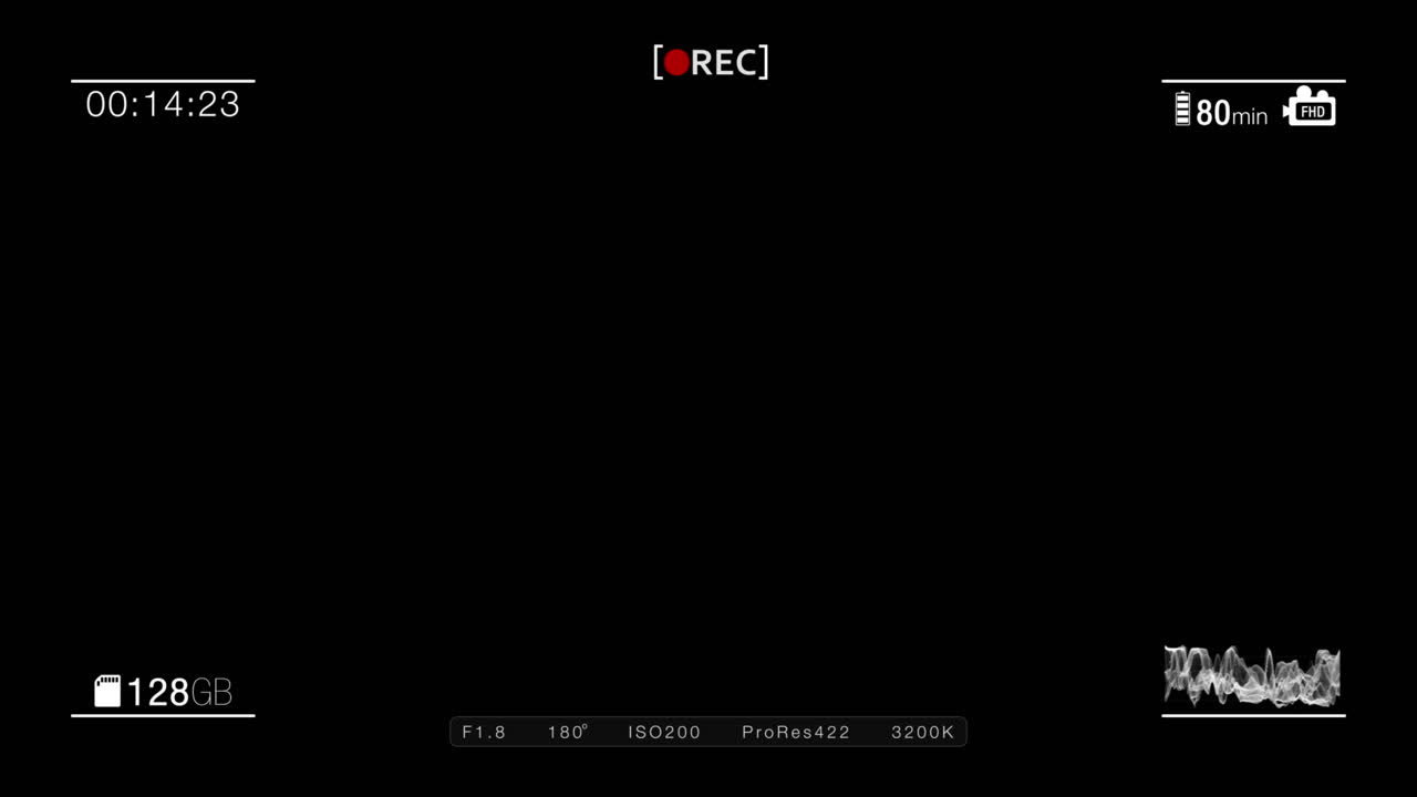 Digital Camera Recording Interface with Timecode and Audio Waveform