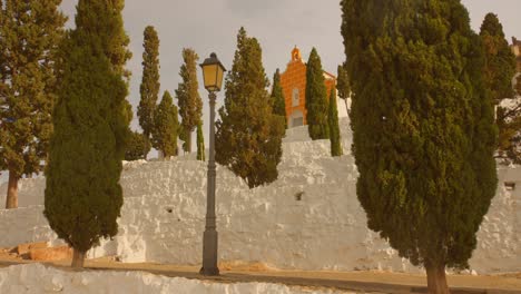 Cypress-Trees-At-El-Calvario-De-Sagunto-In-Sagunt,-Valencia,-Spain