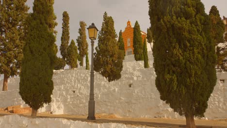 cipreses en el calvario de sagunto en sagunt, valencia, españa