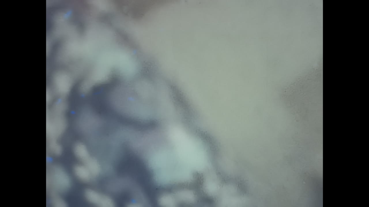 Young Boy Curiously Stands Before Historic Soviet Door in Archival Photo. CIRCA USSR 1980s: A young boy stands with curiosity in front of a historic Soviet door in this archival photograph.