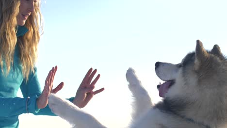 Süßer-Hund-Springt-Hoch-Fünf-Attraktive-Lächelnde-Frau,-Klarer-Himmel,-Slowmo