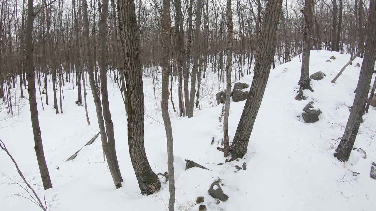 Cyclist climbing a mountain on a fatbike mountain bike