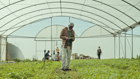 senior man, farmer monitoring