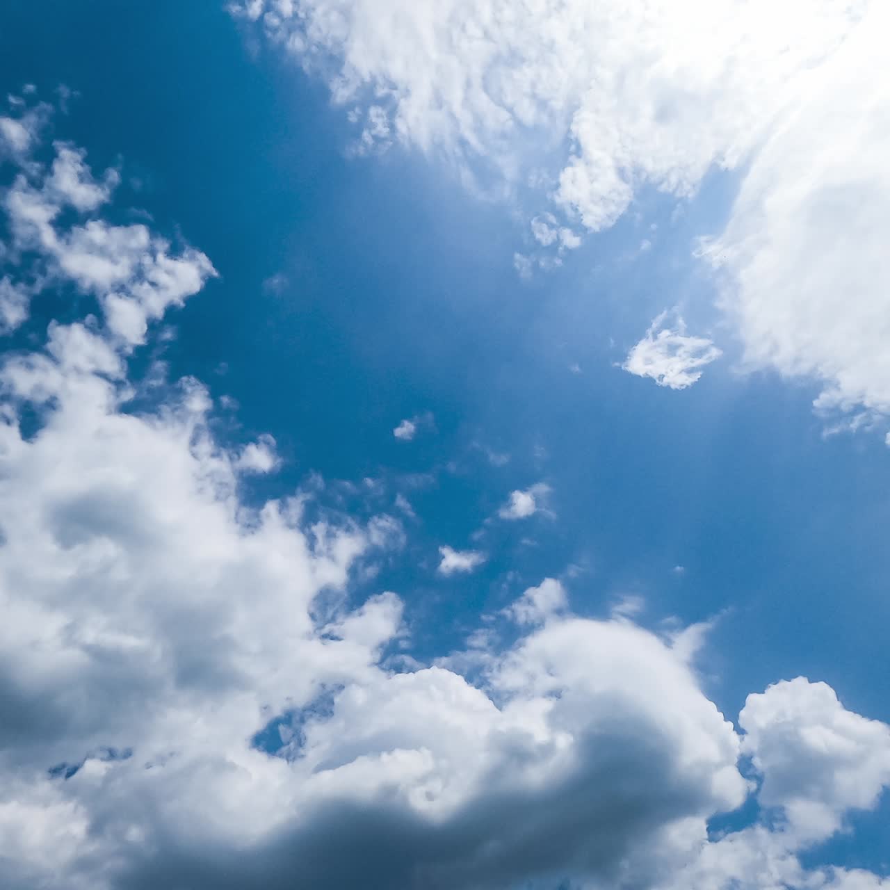 White and grey clouds transforming quickly in the blue sky. Sunny day cloudscape timelapse from low angle view