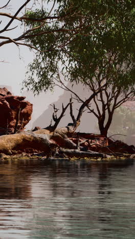 tranquil lake in a desert landscape