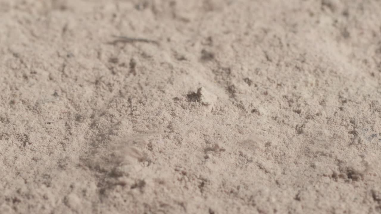Fine sand blowing in the wind, creating a textured, dry, and natural outdoor scene