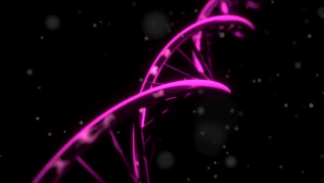 DNA-spinning-RNA-double-helix-slow-tracking-shot-closeup-depth-of-field-4K