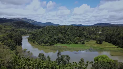 aerial backwards shot of dirty river surrounded by beautiful forest trees and mountains in background during sunlight - kerala,india