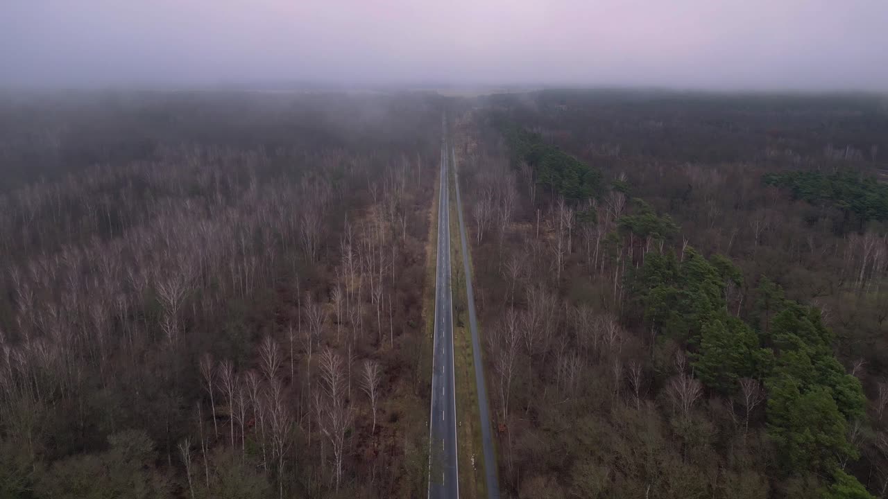 겨울에 안개와 함께 숲을 가로지르는 직선 도로. 부드러운 공중 전망 비행 비행 앞으로 드론을 밀어