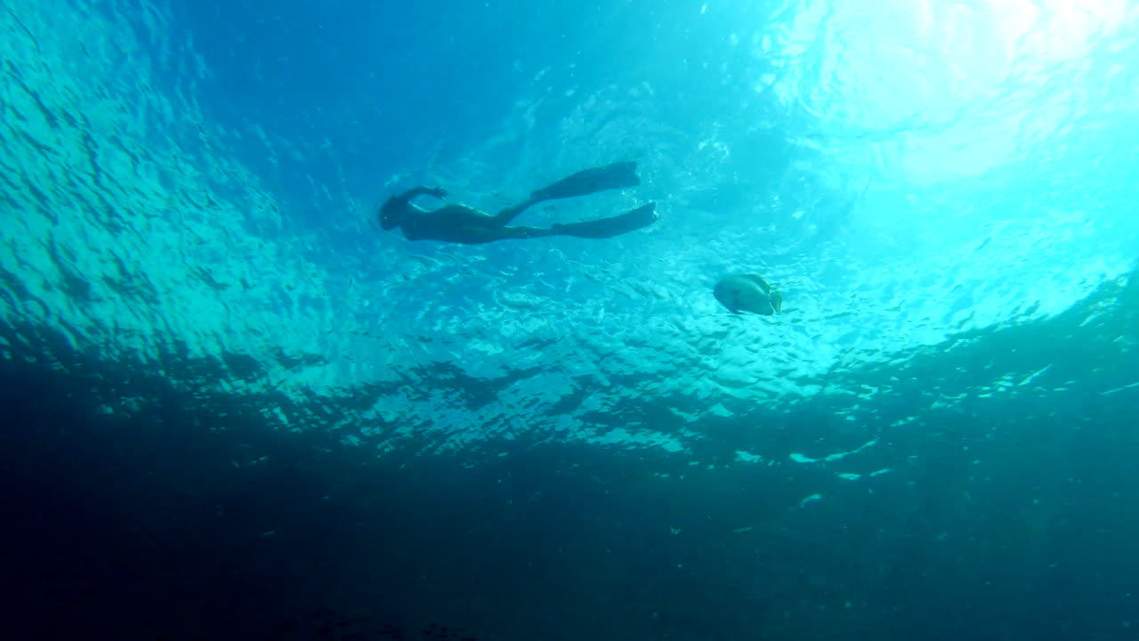 내 지평을 넓히고 있습니다.