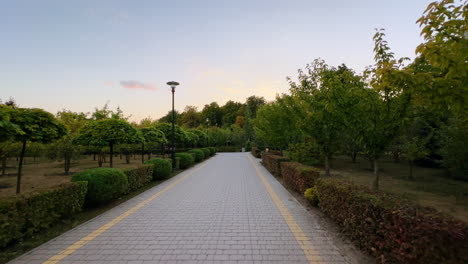 beautiful green park on summer day. walking by the paved path among the trees and bushes.