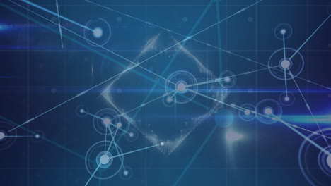 animación de la red de conexiones a través del procesamiento de datos