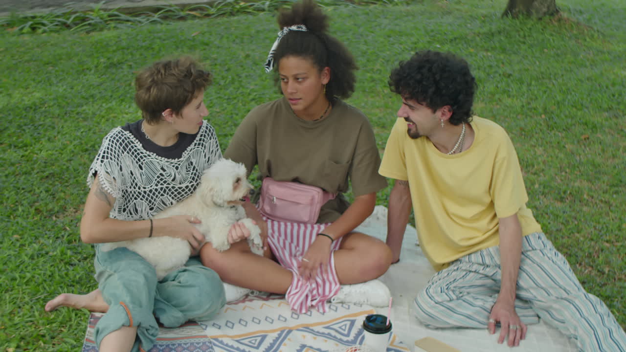 Friends Sitting on Green Lawn in Park, Talking and Petting Dog