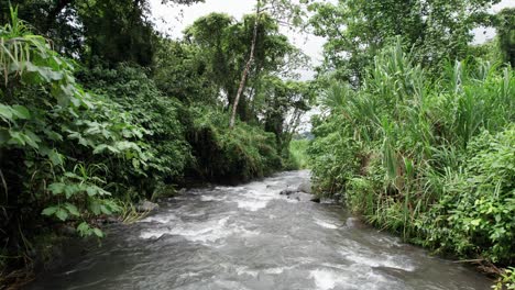 rápidos de agua blanca del río que fluye rápidamente en el valle de la selva tropical