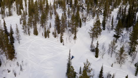 Moto-De-Nieve-A-Toda-Velocidad-A-Través-De-La-Nevada-Laponia-Bosque-Alpino-Bosque-Vista-Aérea-De-Arriba-Hacia-Abajo