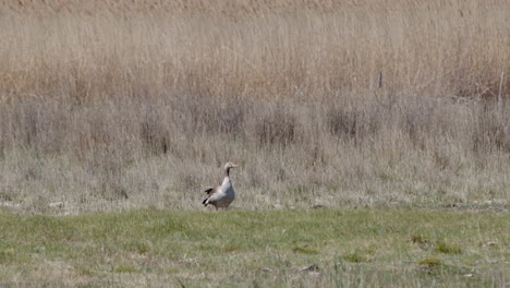 medium shot of a group