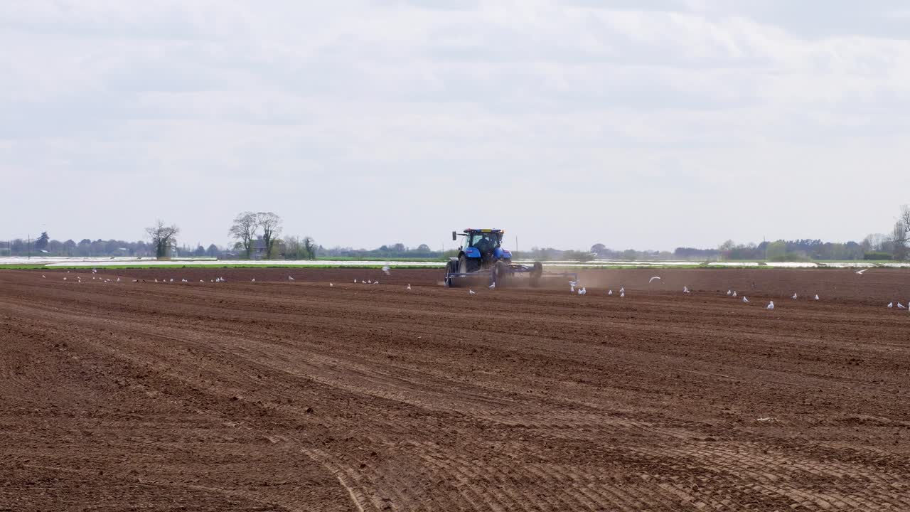 Trattore che coltiva un campo in primavera, agricoltura del Lincolnshire. Un nuovo trattore blu con erpice rosso nel campo sotto un cielo nuvoloso, macchinari agricoli che arano il terreno