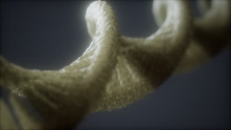 Schleifenstruktur-Der-DNA-Doppelhelix-Animation