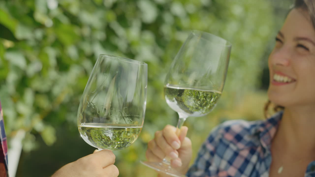 Couple Toasting Wine Glasses in a Vineyard