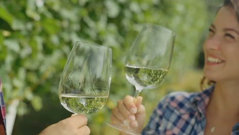 couple toasting wine glasses in a vineyard