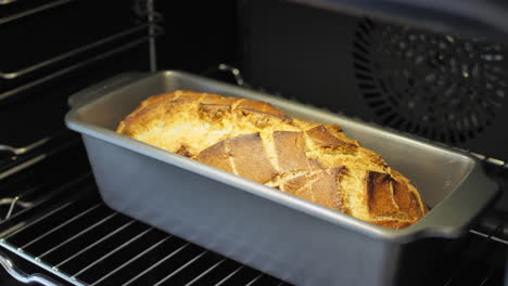 Freshly-Baked-Bread-in-the-Oven,-Static