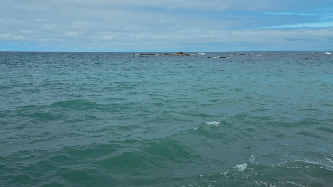 해변에 있는 남자들