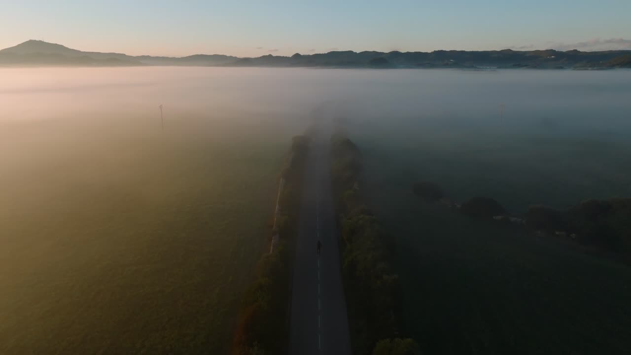도로를 가로질러 달리는 사람, 숲을 가로지르는 사람, 안개가 많은 풍경, 산의 지평선, 동기 부여의 길, 천천히 날아다니는 공중 드론