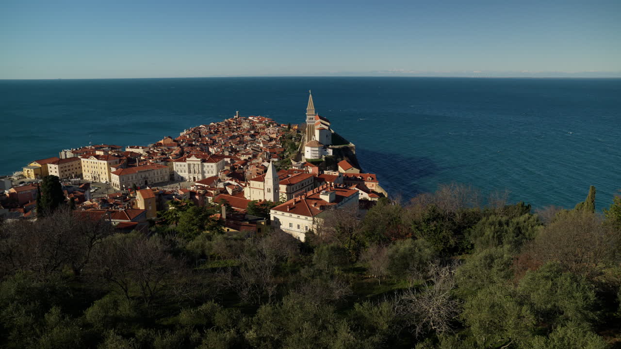 Ampia veduta della città di Pirano, Slovenia, che mostra una foresta in primo piano, il Mar Adriatico sullo sfondo, l'architettura in stile veneziano e il lungo molo della città sotto un cielo sereno e soleggiato
