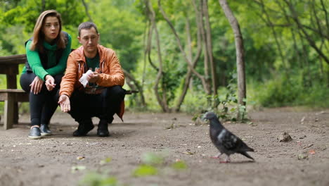 couple feeding bird in nature. happy young couple feeding doves in nature park