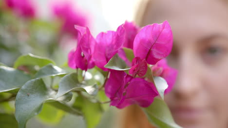 admiring vibrant pink flowers, woman enjoying nature at home garden