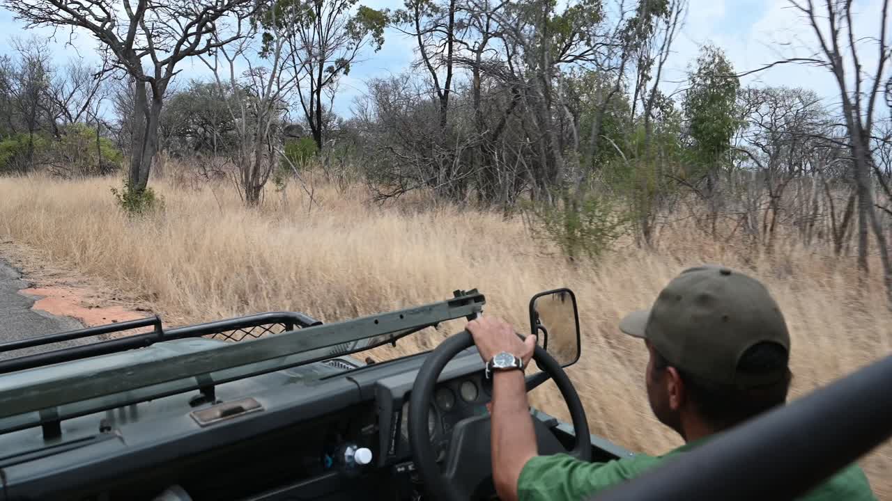 vehículo de safari conduciendo a través de las praderas secas en zimbabwe, áfrica, en un safari con un guía
