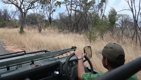 safari vehicle driving through the dried grasslands in zimbabwe, africa on a game drive with a guide