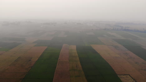 Imágenes-Aéreas-De-Campos-De-Trigo-O-Cebada-Recién-Cosechados-En-Las-Tierras-Planas-De-Nepal