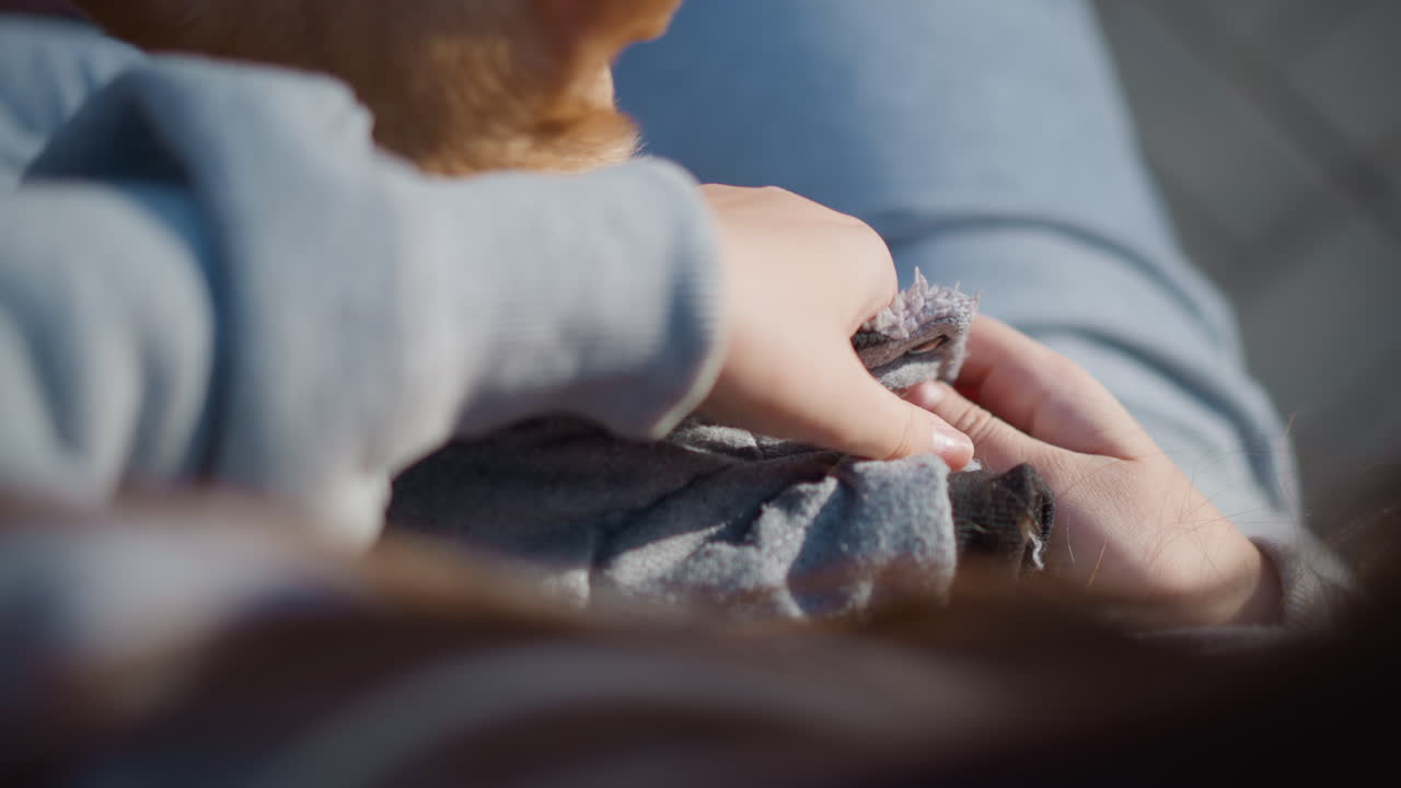 Momento relajante de bienestar canino en un banco del parque, pequeño perro relajado recibiendo caricias suaves en un día agradable, escena serena de un perro tranquilo disfrutando de suaves toques en un entorno tranquilo al aire libre
