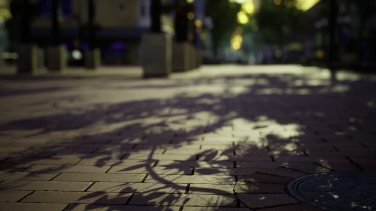 Urban evening stroll highlights intricate shadows on vibrant pavement