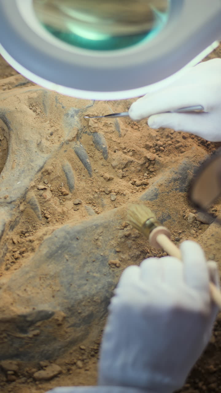 excavación de fósiles en curso