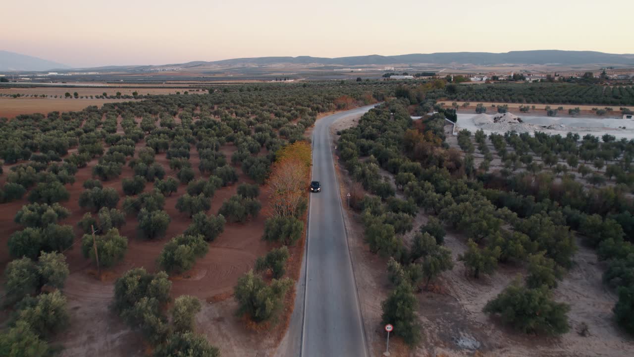 Aerial tracking shot overtaking car riding through the beautiful rural road carved through olive groves farmland of the Province of Malaga with the mountain range in the background meeting the horizon