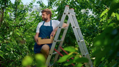 Hombre-Agricultor-Sosteniendo-Una-Caja-De-Bayas-Sonriendo-En-Una-Gran-Plantación-Agrícola-Verde