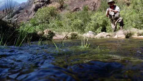 pescador pescando con la mosca en el río