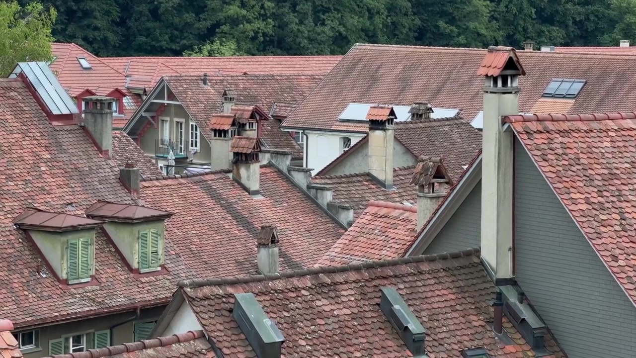 Vista statica in 4K di tetti tradizionali europei con tegole in terracotta, camini e abbaini. Quartiere residenziale tranquillo delimitato da una foresta lussureggiante.