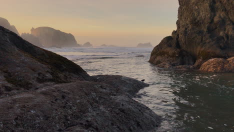 little bird playing in the water during sunset at the oregon coast, in-between large sea stacks at the beach