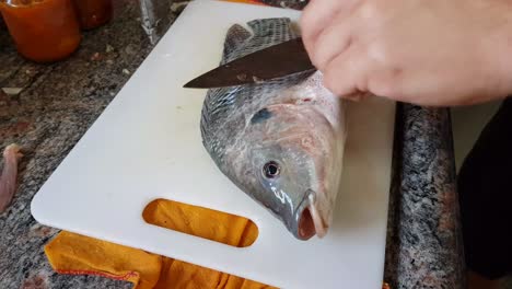 male man preparing raw fish 4k uhd footage